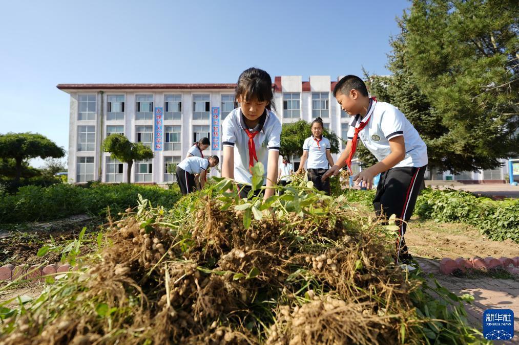 星娱娱乐登录